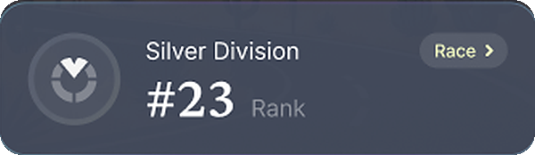 Silver Division, rank 23